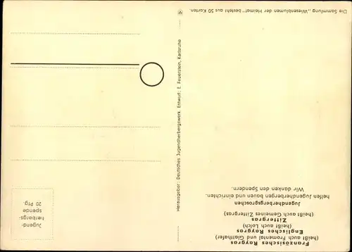 Künstler Ak Wiesenblumen der Heimat 5, Jugendherbergsgroschen, franz. Zittergras, engl. Raygras