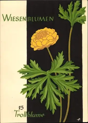 Künstler Ak Wiesenblumen der Heimat 15, Jugendherbergsgroschen, Trollblume