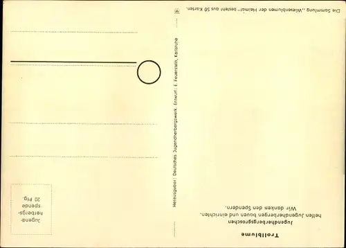 Künstler Ak Wiesenblumen der Heimat 15, Jugendherbergsgroschen, Trollblume