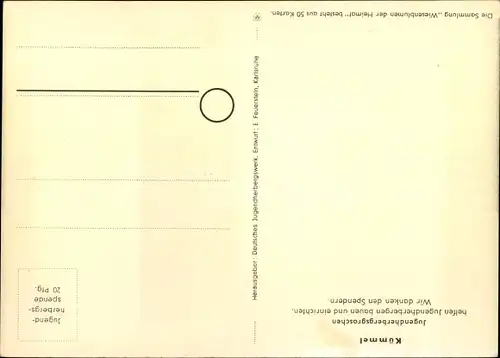 Künstler Ak Wiesenblumen der Heimat 18, Jugendherbergsgroschen, Kümmel