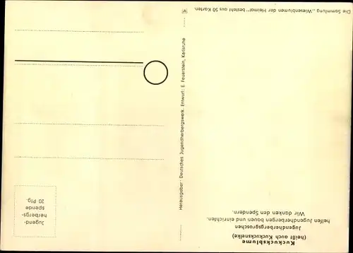 Künstler Ak Wiesenblumen der Heimat 23, Jugendherbergsgroschen, Kuckucksblume