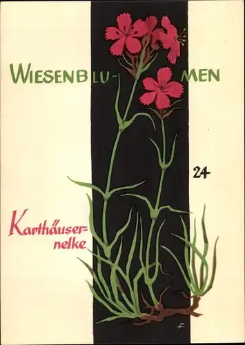 Künstler Ak Wiesenblumen der Heimat 24, Jugendherbergsgroschen, Karthäusernelke