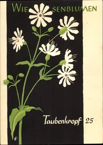 Künstler Ak Wiesenblumen der Heimat 25, Jugendherbergsgroschen, Taubenkropf