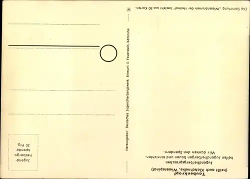 Künstler Ak Wiesenblumen der Heimat 25, Jugendherbergsgroschen, Taubenkropf