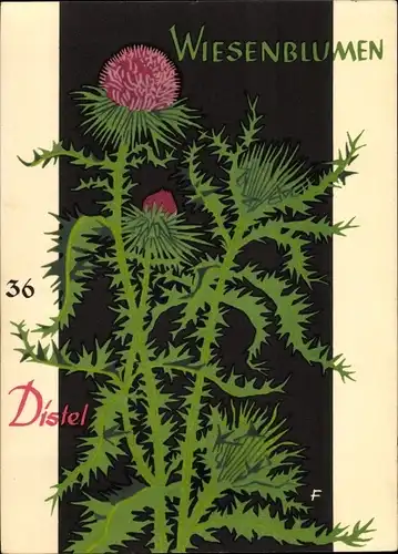 Künstler Ak Wiesenblumen der Heimat 36, Jugendherbergsgroschen, Distel