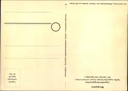 Künstler Ak Wiesenblumen der Heimat 37, Jugendherbergsgroschen, Bergaster