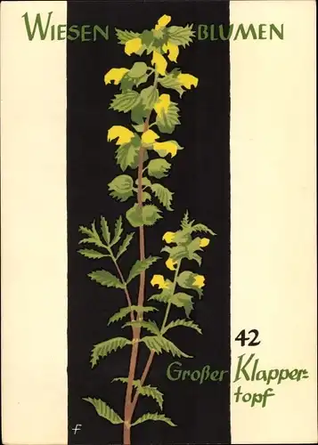 Künstler Ak Wiesenblumen der Heimat 42, Jugendherbergsgroschen, Großer Klappertopf