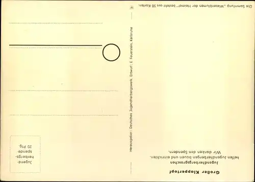 Künstler Ak Wiesenblumen der Heimat 42, Jugendherbergsgroschen, Großer Klappertopf