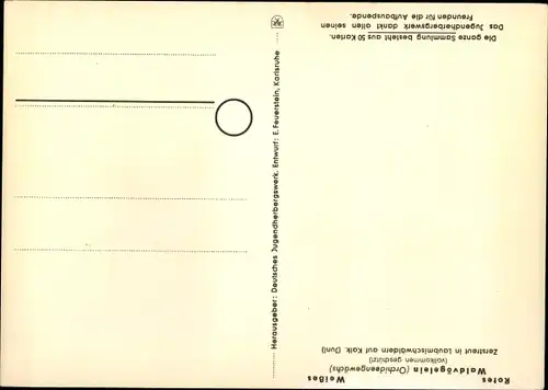 Ak Geschützte Pflanzen und Tiere der Heimat 5, Jugendherbergsgroschen, rotes und weißes Waldvöglein