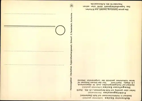 Künstler Ak Frühlings Enzian, Geschützte Pflanzen und Tiere der Heimat Nr 18, Jugendherbergswerk