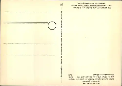 Künstler Ak Gelber Enzian, Geschützte Pflanzen und Tiere der Heimat Nr 17, Jugendherbergswerk