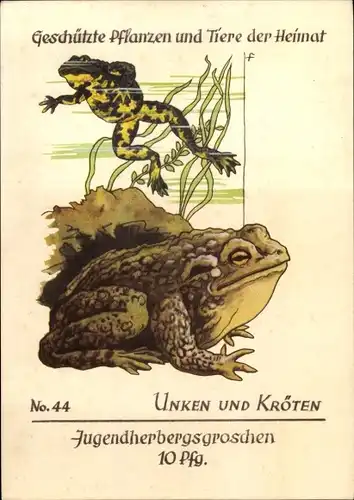 Künstler Ak Unken, Kröten, Jugendherbergsgroschen, Geschützte Pflanzen und Tiere der Heimat 44