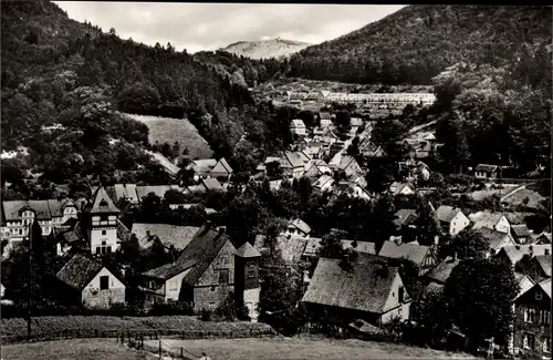 Ak Bad Grund im Harz, Blick vom Eichelberg