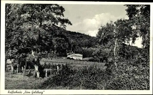 Ak Göttingerode Bad Harzburg am Harz, Kaffeehaus zum Goldberg