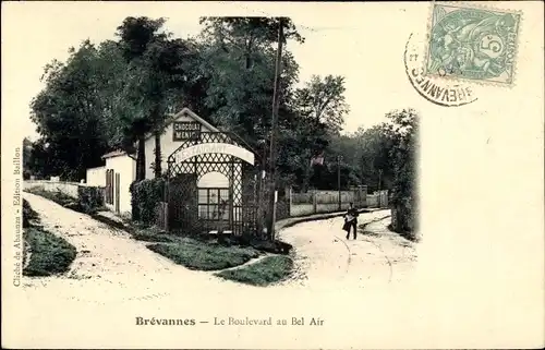 Ak Brevannes Val de Marne, Le Boulevard au Bel Air