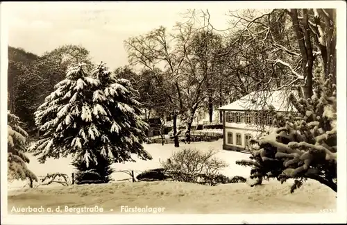 Ak Auerbach Bensheim an der Bergstraße, Fürstenlager