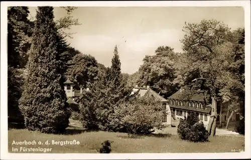 Ak Auerbach Bensheim an der Bergstraße Hessen, Im Fürstenlager