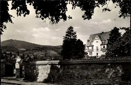 Ak Auerbach Bensheim an der Bergstraße Hessen, Blick auf den Melibocus