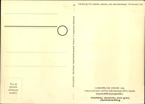 Künstler Ak Wiesenblumen der Heimat 13, Jugendherbergsgroschen, Frauenmantel