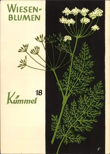 Künstler Ak Wiesenblumen der Heimat 18, Jugendherbergsgroschen, Kümmel