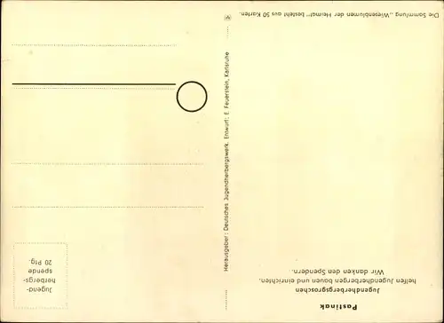 Künstler Ak Wiesenblumen der Heimat 20, Jugendherbergsgroschen, Pastinak