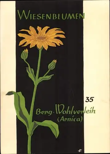 Künstler Ak Wiesenblumen der Heimat 35, Jugendherbergsgroschen, Berg Wohlverleih, Arnica