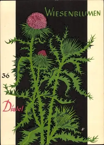 Künstler Ak Wiesenblumen der Heimat 36, Jugendherbergsgroschen, Distel