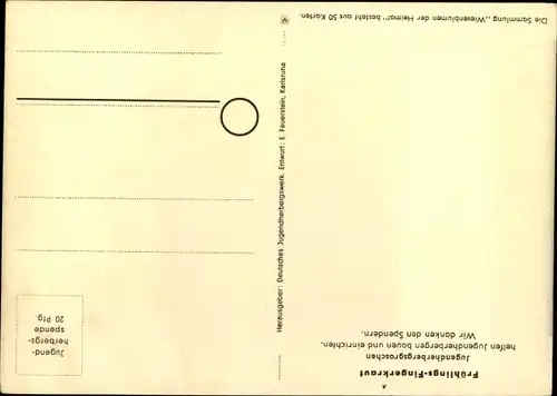 Künstler Ak Wiesenblumen der Heimat 45, Jugendherbergsgroschen, Frühlings Fingerkraut