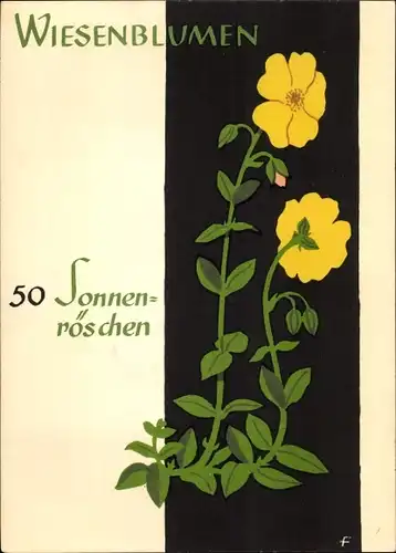 Künstler Ak Wiesenblumen der Heimat 50, Jugendherbergsgroschen, Sonnenröschen