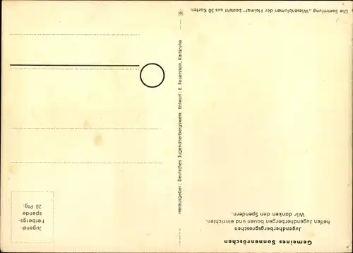 Künstler Ak Wiesenblumen der Heimat 50, Jugendherbergsgroschen, Sonnenröschen
