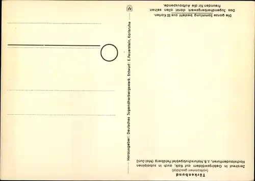 Künstler Ak Geschützte Pflanzen und Tiere der Heimat 3, Jugendherbergsgroschen, Türkenbund