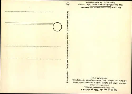 Ak Geschützte Pflanzen und Tiere der Heimat 7, Jugendherbergsgroschen, Fliegenblume, Mückenorchis