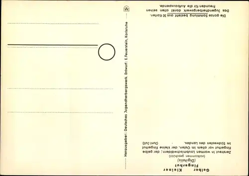 Ak Gelber Fingerhut, Jugendherbergsgroschen, Geschützte Pflanzen und Tiere der Heimat Nr. 16