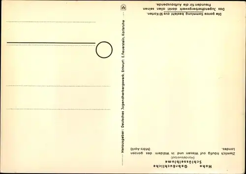 Künstler Ak Schlüsselblume, Geschützte Pflanzen und Tiere der Heimat Nr 24, Jugendherbergswerk