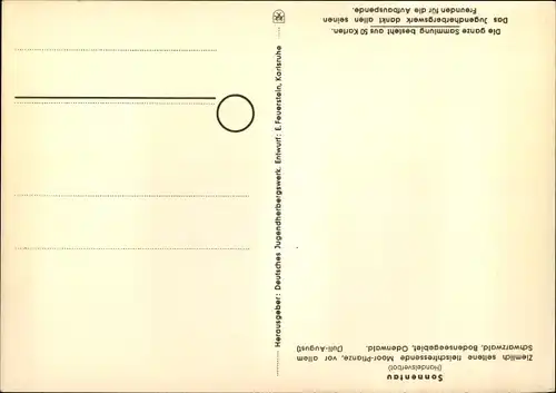 Künstler Ak Sonnentau, Geschützte Pflanzen und Tiere der Heimat Nr 28, Jugendherbergswerk