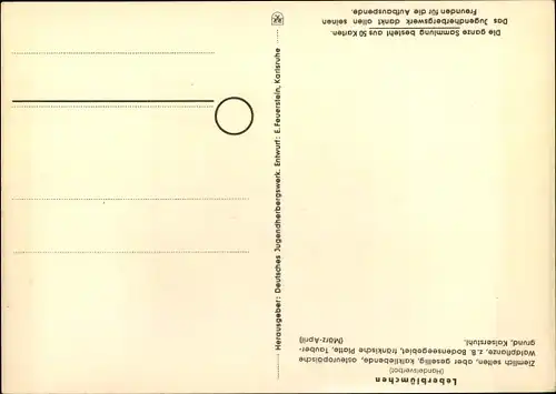 Künstler Ak Leberblümchen, Geschützte Pflanzen und Tiere der Heimat Nr 33, Jugendherbergswerk