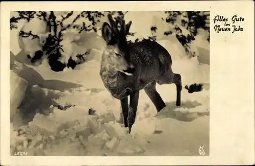 Ak Glückwunsch Neujahr, Reh im Schnee
