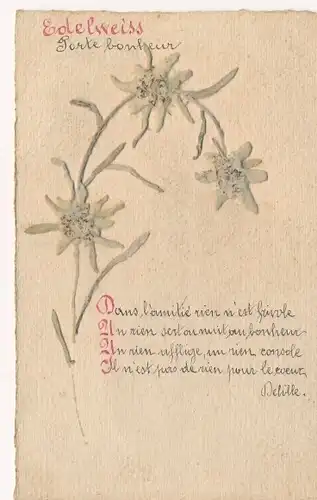 Ak Edelweiss, getrocknete Blumen