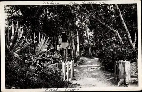 Foto Ak Île de Port Cros Îles d’Hyères Var, Villa, Straße, Zaun, Bäume