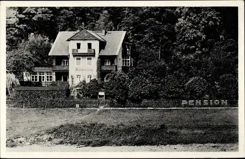 Ak Schmilka Bad Schandau Sächsische Schweiz, Pension Waldfrieden