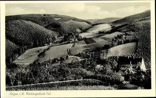 Ak Hagen in Westfalen, Mäckingerbach Tal