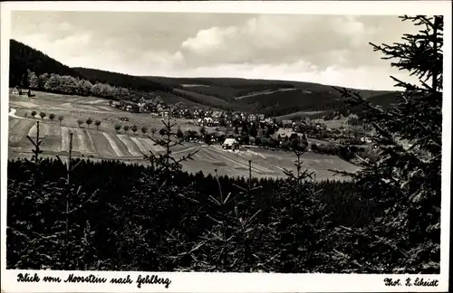 Ak Gehlberg Suhl in Thüringen, Blick vom Moosstein zum Ort