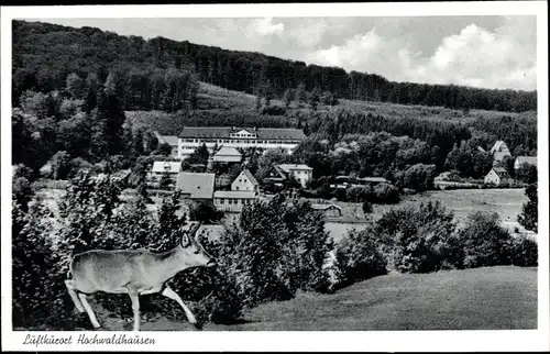 Ak Ilbeshausen Hochwaldhausen Grebenhain Hessen, Gesamtansicht