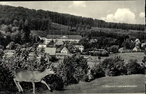 Ak Ilbeshausen Hochwaldhausen Grebenhain Hessen, Panorama