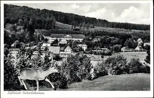 Ak Ilbeshausen Hochwaldhausen Grebenhain Hessen, Genesungsheim, Panorama