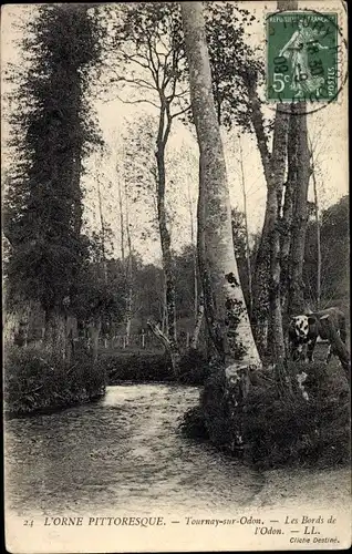 Ak Tournay sur Odon Calvados, Les Bords de l'Odon