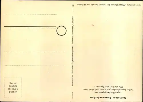 Künstler Ak Wiesenblumen der Heimat 50, Jugendherbergsgroschen, Sonnenröschen