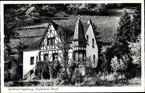 Ak Brodenbach an der Mosel, Gasthaus Vogelsang