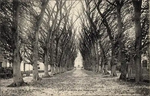 Ak Lardy Essonne, Allee des Pastoureaux