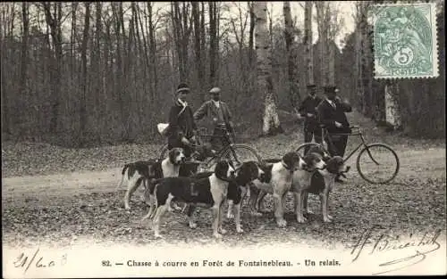 Ak Fontainebleau Seine et Marne, Foret, Chasse a courre, Un relais